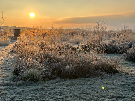 Winter-Sonne-83-Versickerung-Beete-Forschung