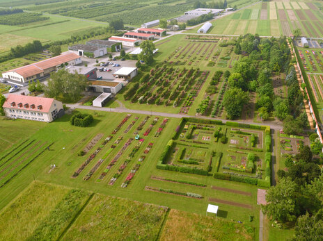 83-Flächen des Referats Garten- und Landschaftsbau in Pillnitz