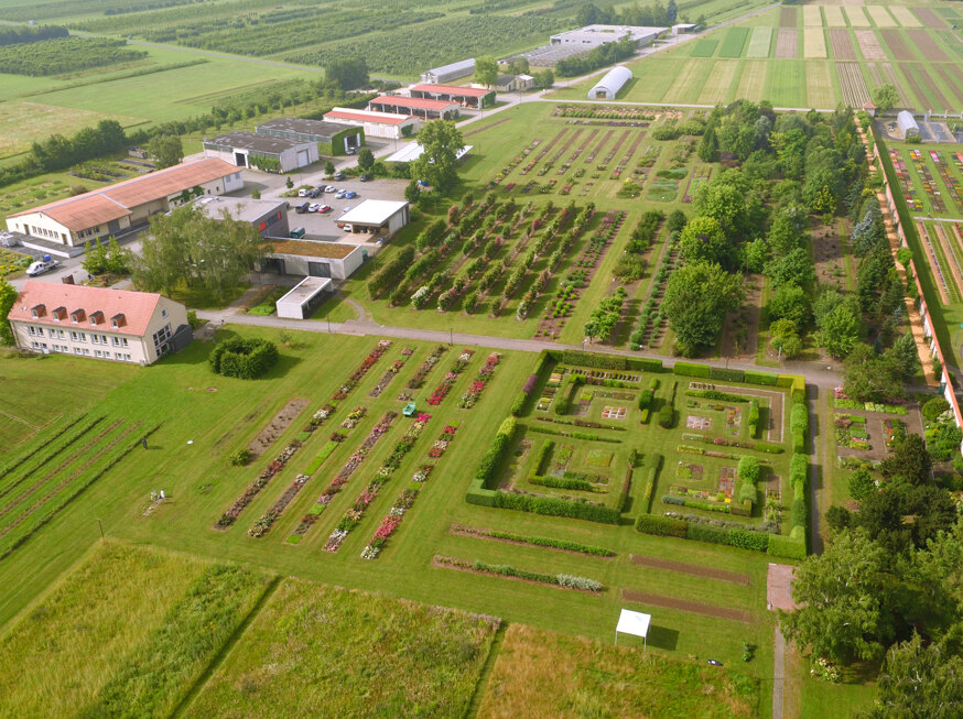 83-Flächen des Referats Garten- und Landschaftsbau in Pillnitz