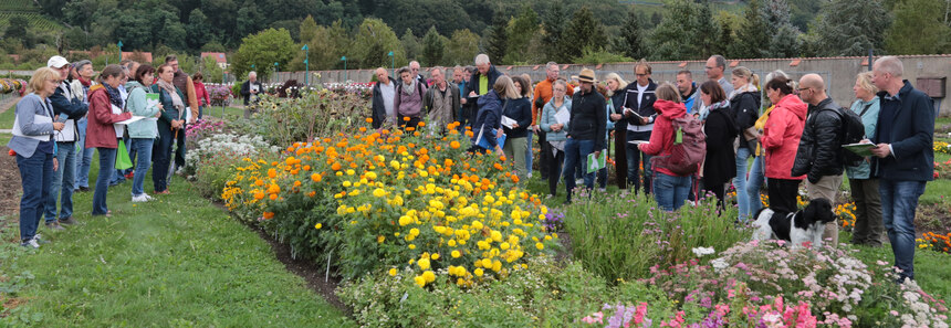 Fachbesucher beim Schnittblumentag