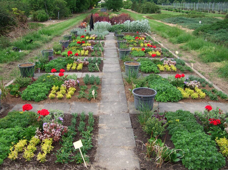 83-Torfreduktion im Friedhofsgartenbau