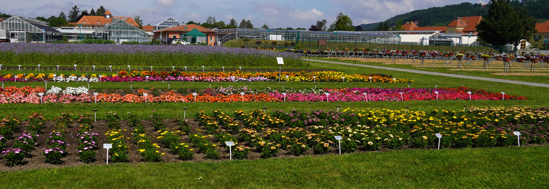 Probefeld Pillnitz mit Beetparzellen